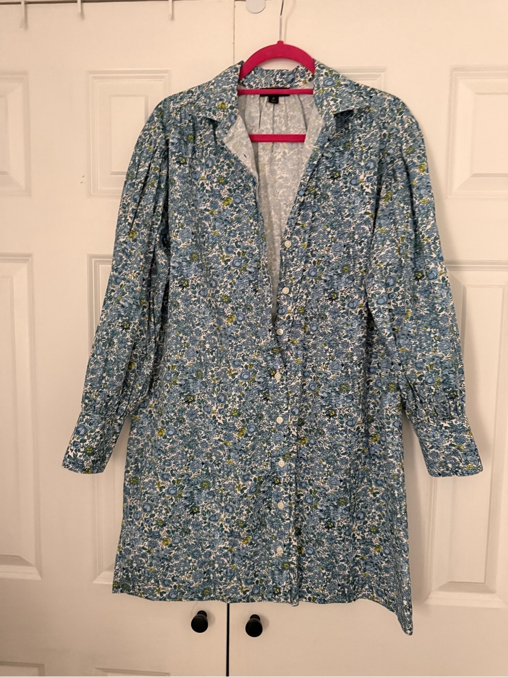 J Crew - liberty floral print - Women's Blue Floral Button-Down Dress